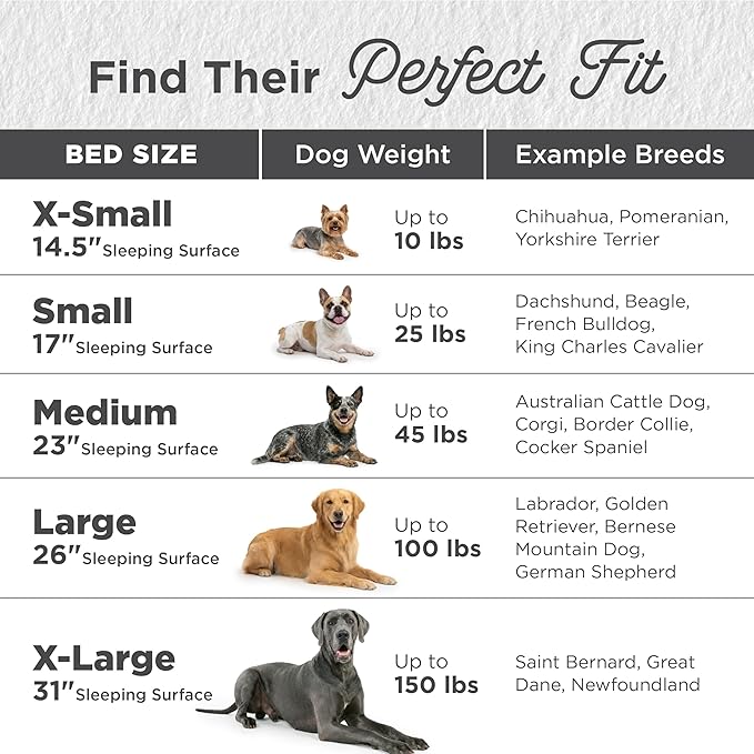 Best Friends by Sheri The Original Calming Donut Dog Bed for Small Dogs up to 25 lbs, Lux Faux Fur, Gray, 23" x 23"