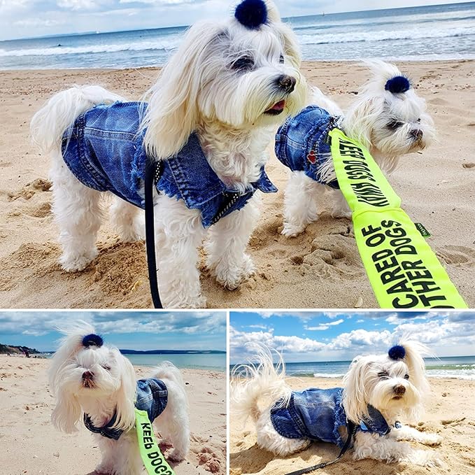 Jean Jacket, Blue Denim Lapel Vest Coat T-Shirt Costume for Small Medium Dogs Cats, Cute Girl Boy Puppy Clothes, Comfort and Cool Apparel, Machine Washable Outfits (XXL, Blue)