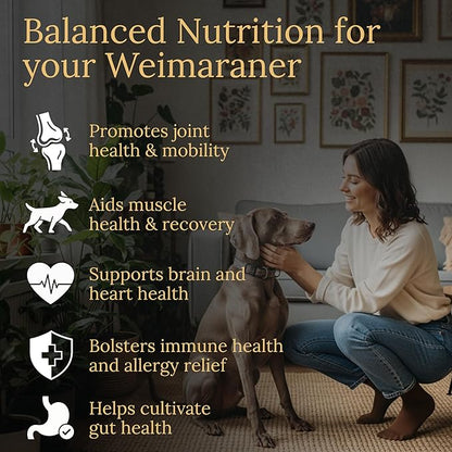 Weimaraner Multivitamins, 90 Count, Made in the USA with Real Bacon