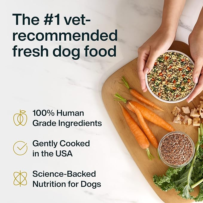 JustFoodForDogs Pantry Fresh Wet Dog Food, Complete Meal or Dog Food Topper, for Joint Health, Skin Health, Allergies, Joint & Skin Support, Pork & Quinoa - 12.5 oz (Pack of 12)