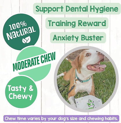 Nature Gnaws Braided Beef Chews for Dogs 5-6" (3 Count) - Long Lasting for Small and Medium Dogs - Natural Beef Gullet Jerky Dog Chew Treats