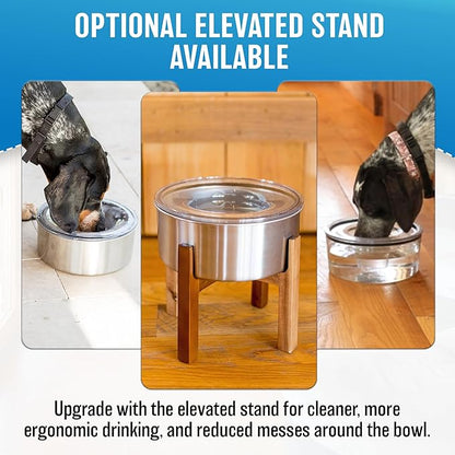 Slopper Stopper Tritan Plastic Dripless Water Bowl with Lid – Holds 1.25Qt, Reduces Spills & Trails Up to 85%+, Water Bowl for one XSM Small Breed Dog (0-20 lbs), The Original Slobber Stopper
