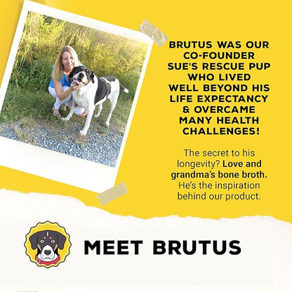 Brutus Broth Dog Food Topper - Instant Bone Broth Powder for Dogs - Supports Hip and Joint Function - Human-Grade Quality, Serve Dry or Wet - Chicken Flavor, 3.5 oz (Pack of 1)