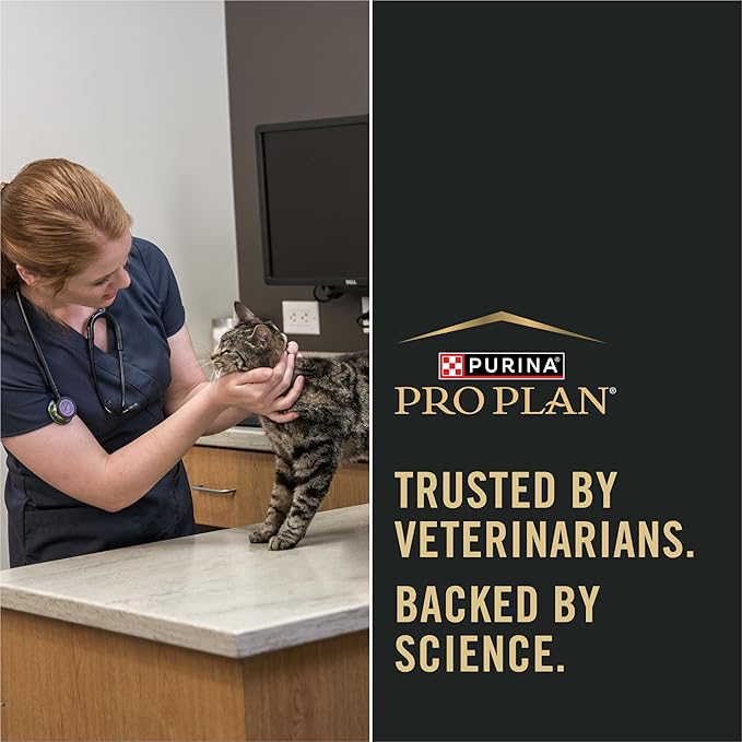 Purina Pro Plan Sensitive Skin and Stomach Kitten Food Salmon and Rice Formula 3.5 Pound (Pack of 1)