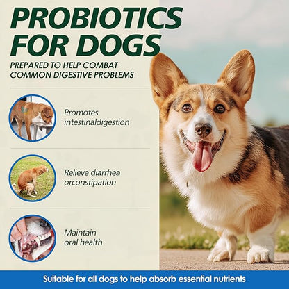 Probiotics for Dogs Gut Health, Digestion, Immunity, Relieve Diarrhea, Dog Probiotics Chews with Digestive Enzymes and Prebiotics, 200 Tablets (Chicken)