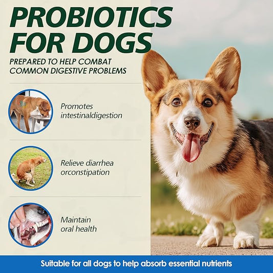 Probiotics for Dogs Gut Health, Digestion, Immunity, Relieve Diarrhea, Dog Probiotics Chews with Digestive Enzymes and Prebiotics, 200 Tablets (Chicken)