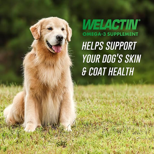 Nutramax Welactin Canine Softgels, Omega 3 Supplement for Dogs, Softgels, 120 Count (Pack of 3)