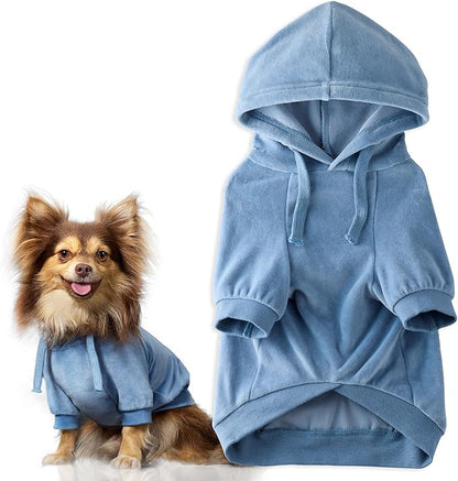 Pet Passion Cooper II Organic Cotton Velour Dog Hoodie Pet Coat for Small, Medium and Large Dogs, Faded Denim, XXX-Small (up to 5lbs)