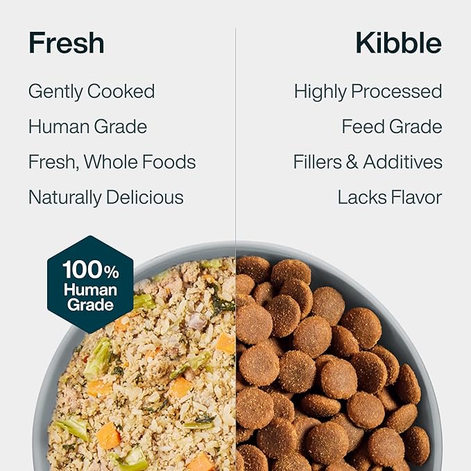JustFoodForDogs Pantry Fresh Wet Dog Food, Complete Meal or Dog Food Topper, Chicken & White Rice Human Grade Dog Food Recipe - 12.5 oz (Pack of 12)