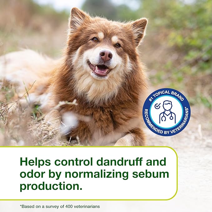 Douxo S3 Seb Mousse, Contains 0.5% Ophytrium, Odor Control & Seboregulating, For Oily to Flaky Skin, Seborrhea, For Dogs and Cats, 5.1 fl. oz. (150mL)