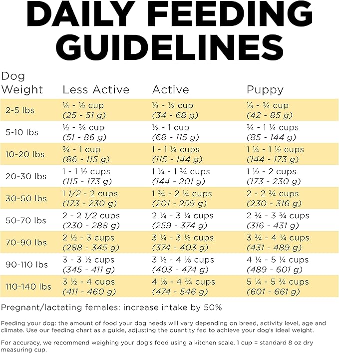 Go! Solutions Skin + Coat Care Duck Dry Dog Food with Grains, Chicken-Free, Healthy Kibble with Omega-3s & 6s for Soft, Shiny Fur, for Puppies, Adults, & Seniors, 22 lb Bag