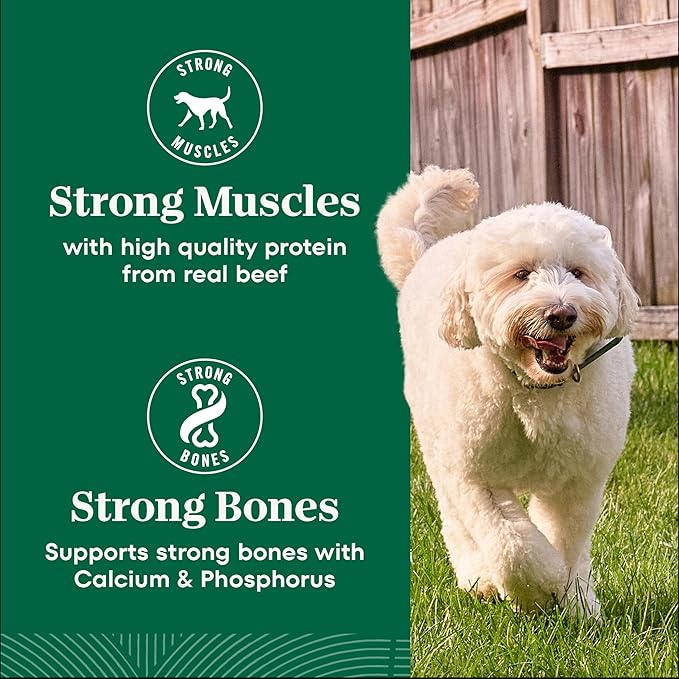 Nutro Natural Choice Dry Dog Food, Adult Dog Food Dry Beef and Brown Rice Recipe, 12 lbs.