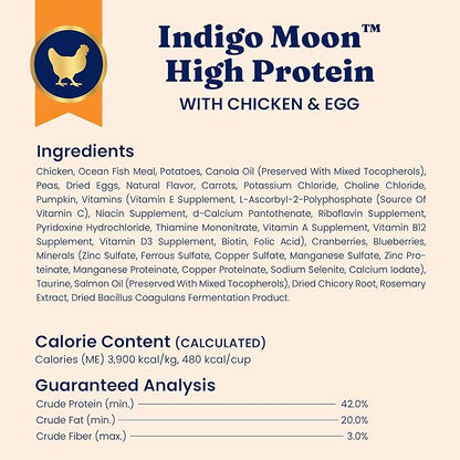 Solid Gold High Protein Dry Cat Food - Grain Free & Gluten Free Chicken Cat Dry Food w/Probiotics for Gut Health & Digestion - High Fiber & Omega 3 - Low Carb Kibble for All Ages - 6LB