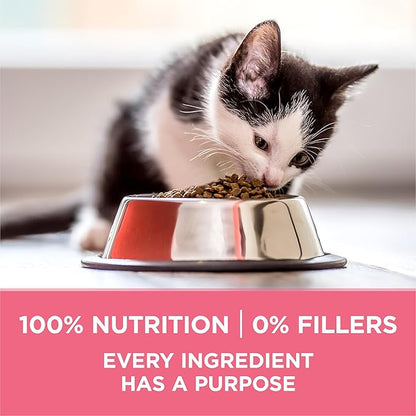 Purina ONE High Protein, Natural Dry Kitten Food, +Plus Healthy Kitten Formula - 16 lb. Bag