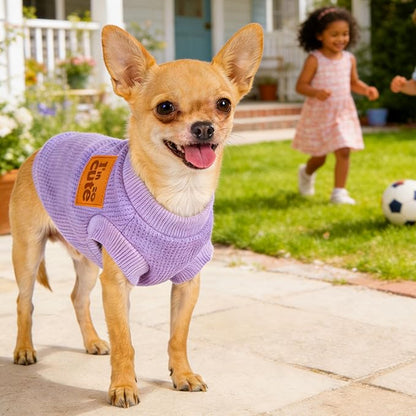 2 Pack Dog Shirt Vest Dog Clothes for Small Dogs Summer Waffle Puppy T-Shirts Soft Sleeveless Pet Clothes Lightweight Medium Large Doggy Outfit Cat Clothing (Purple+Khaki, X-Small)