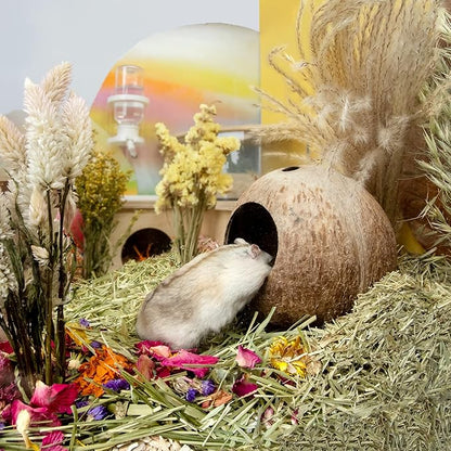 andwe Coconut Hut Hamster House Bed for Gerbils Mice Small Animal Cage Habitat Decor