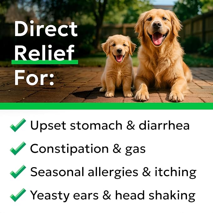 Bark&Spark Dog Probiotics & Digestive Enzymes (Gut Health) Allergy & Itchy Skin - Pet Diarrhea Gas Treatment Upset Stomach Relief, Digestion Health Prebiotic Supplement Large Dog Treats (240Ct Bacon)