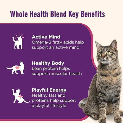 Nutrish Grain Free Ocean Lover's Whole Health Blend Variety Pack Wet Cat Food, 2.8 oz. Cup, 12 Count (Rachael Ray)