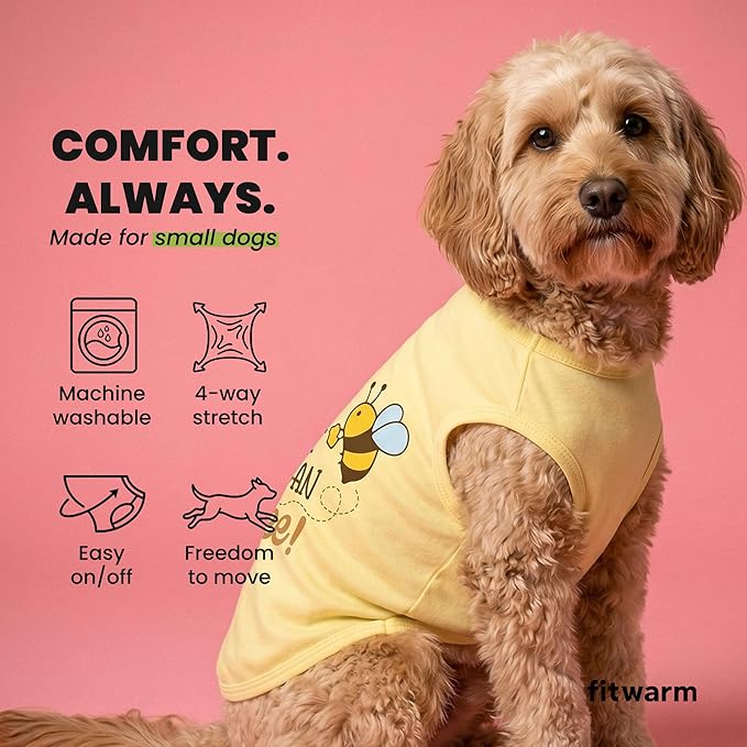Fitwarm Bee the Best You Can Dog Shirt, Summer Clothes for Small Dogs Boy Girl, Funny Pet Outfit, Yellow, Brown, Blue, Large