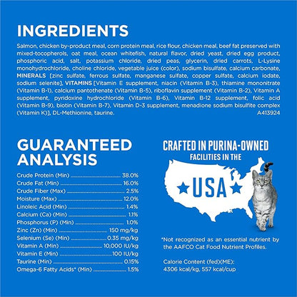 Purina ONE Plus High Protein Cat Food Dry Salmon and Ocean Whitefish Cat Skin and Coat Health Formula - 7 lb. Bag