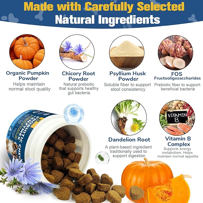Probiotics for Dogs with Enzymes & Fiber Blend Supports Gut Health, Yeast Balance, Allergies, Itchy Skin, Boost Immune - Natural Probiotic Supplement for Digestive, Diarrhea, Gas, Constipation,120Ct