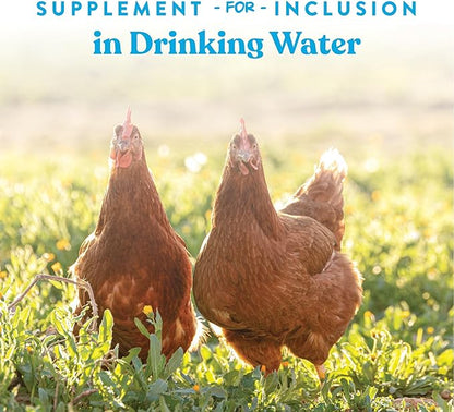 Manna Pro Hydro-Hen Poultry Electrolyte & Probiotic Supplement, Hydration Support for Chickens, Ducks, Turkeys & Waterfowl, 20 oz
