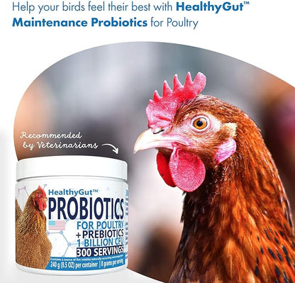 HealthyGut Probiotics for Chickens & Poultry, All-Natural Digestive System Dietary Supplement (30 Scoops)