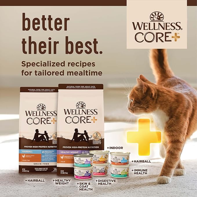 Wellness CORE+ Adult Dry Cat Food for Indoor Cats, Natural, Grain Free Kibble, Salmon and Herring Meal Recipe, 11 lb Bag