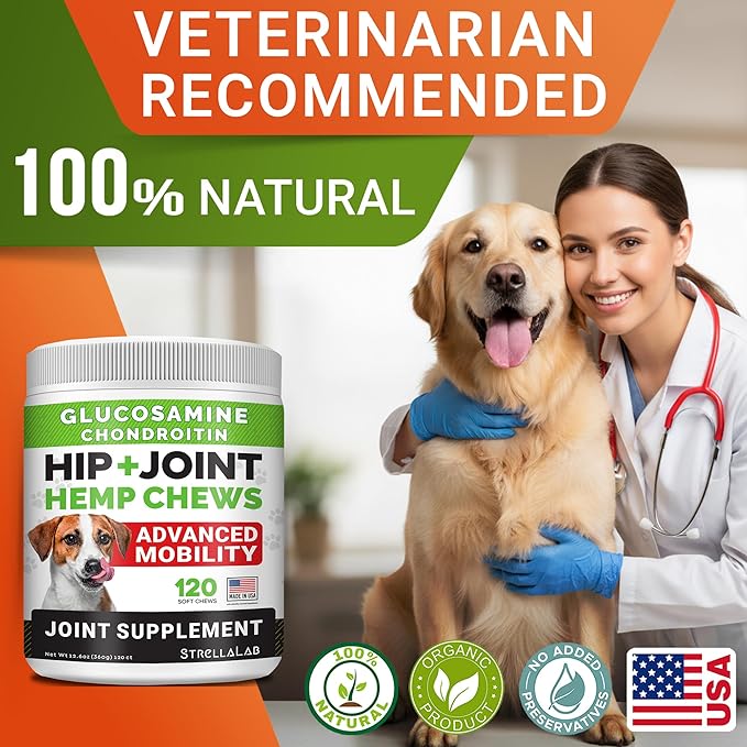 Advanced Hemp + Glucosamine Dog Joint Supplement - Hip Joint Pain Relief - Mobility Chews for Dogs - Chondroitin, MSM, Omega - Made in USA - Lamb Flavor - 120 Hemp Treats
