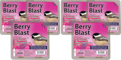 Heath Outdoor Products Berry Blast Suet Cakes Sample Pack,Contains Suet Cakes,Try It,Your Birds Will Love it,for Woodpeckers,Cardinals,Siskins,Sparrows,Finchs&Many More Wild Bird Species,(Pack of 6)
