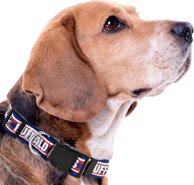 Pets First NFL Buffalo Bills Licensed PET COLLAR, Large - Heavy-Duty, Strong, and Durable Dog Collar. Available in 31 Football Teams and 4 Sizes