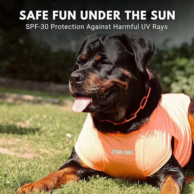 Spark Paws Sunblock Dog T-Shirt, SPF30 Protection, Lightweight Breathable Quick Dry for Dogs with Sensitive Skin - Purple & Peach (Set of 2) - 3XL