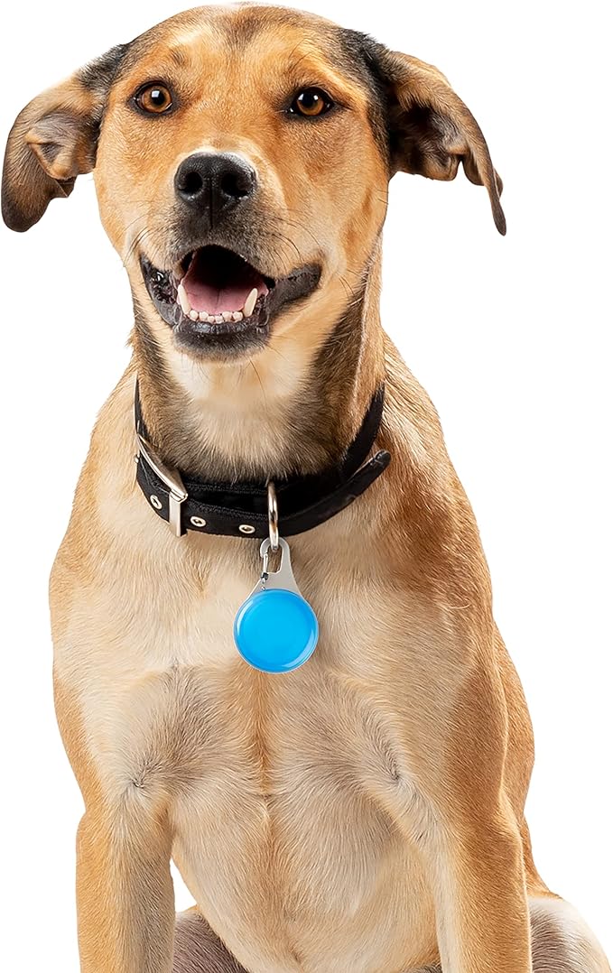 Nite Ize WearAbout Pet Clippable Tracker Holder, Apple AirTag Holder With Locking Carabiner For Pets, Blue