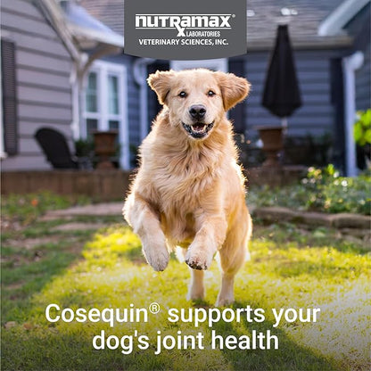 Nutramax Laboratories Cosequin DS Plus MSM Professional Line for Dogs,60 Soft Chews,(Pack of 2)