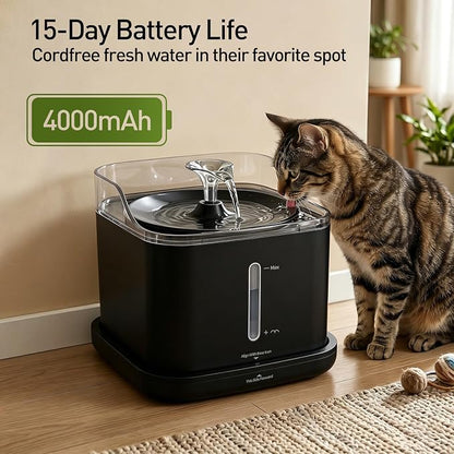 Cat Water Fountain, 2.2L Automatic Pet Water Fountain for Cats and Small Dogs, 2.4GHz WiFi App Control, Rechargeable Motion Sensor, 3 Water Modes, Detachable Tank, Black