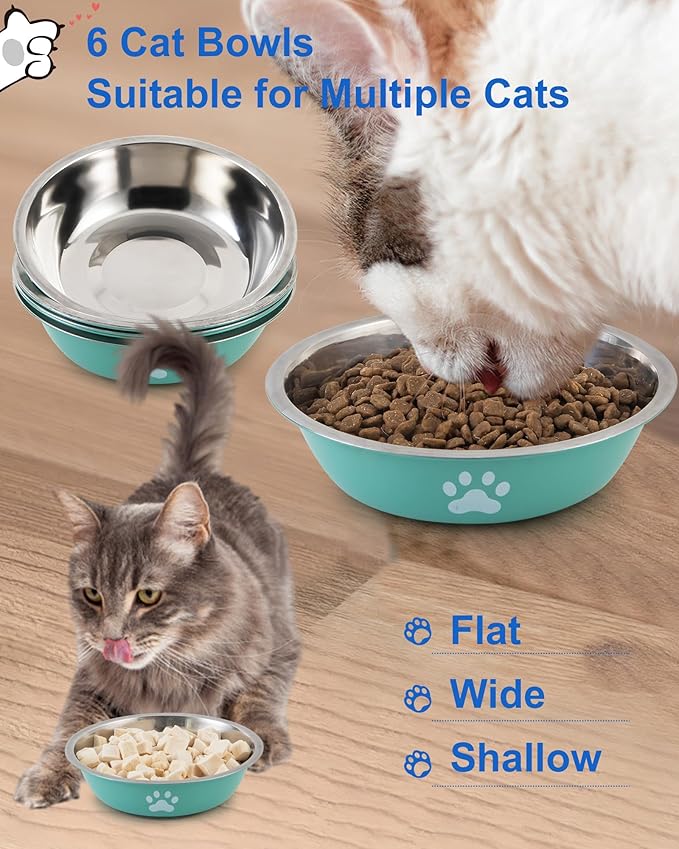 Stainless Steel Cat Bowl Set - Whisker Friendly Wide Shallow Cat Food Bowls, Non-Slip Cat Dishes, 6-Pack Cats Food & Water Bowls for Multi-Cat Homes, Indoor & Outdoor Use