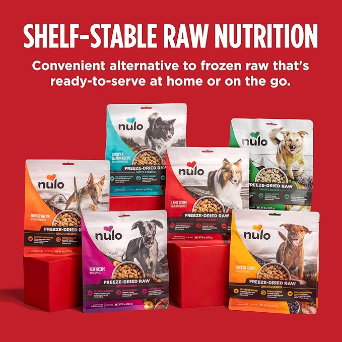 Nulo Freeze-Dried Raw Turkey & Salmon Recipe with Strawberries Complete and Balanced Dry Dog Food Kibble, 18 Ounce Bag