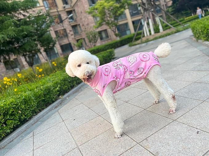 Xqpetlihai Dog Onesie Surgery Recovery Suit for Medium Large Dogs Recovery Shirt for Abdominal Wounds or Skin Diseases Bodysuit Dogs Pajamas(SW,M)