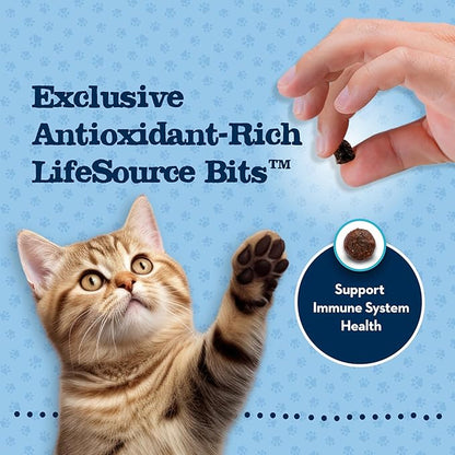 Blue Buffalo Baby Blue Natural Kitten Grain-Free Dry Cat Food, High-Protein Healthy Growth Formula with DHA, Savory Chicken, 2-lb Bag