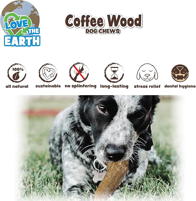 SPOT Coffee Wood Dog Chew Toy – 100% Natural & Sustainably Sourced Non-Splintering Wood from Coffee Plants, Long Lasting, Durable Toy for Aggressive Chewers, for Large Dogs and Puppies Up to 99lbs