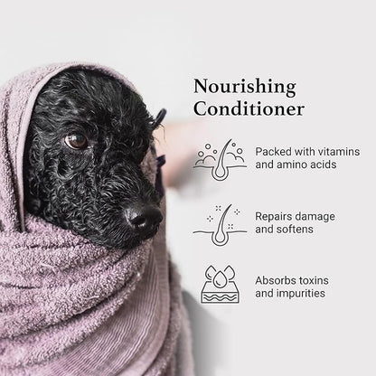 iGroom Charcoal Keratin Dog Conditioner, Luxury Pet Beauty Care, Repairs Enhances Adds Moisture, Made in USA, Summer Fig, 16oz