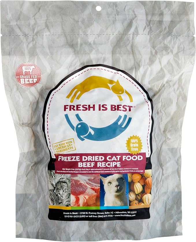 Fresh Is Best Beef Freeze Dried Cat Food – Raw Cat Food for Kittens & Adult Felines – High-Protein Freeze Dried Beef in Resealable Zipper Bag – Made in the USA – 8 oz