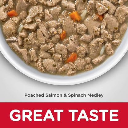Hill's Science Diet Adult 1-6 Healthy Cuisine Wet Cat Food, Poached Salmon & Spinach Stew, 2.8 oz. Cans, 24-Pack