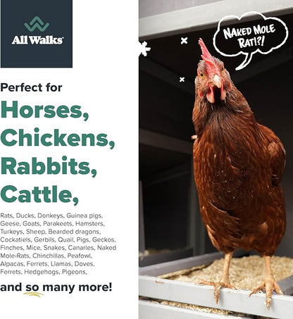 All Walks 150 Liter(30 lbs) Hemp Bedding for Chicken Coops, Hampters, Ducks, and Turkeys - 100% Natural, Superior Odor Control, Biodegradable Pet Bedding, Dust-Free - Made in USA
