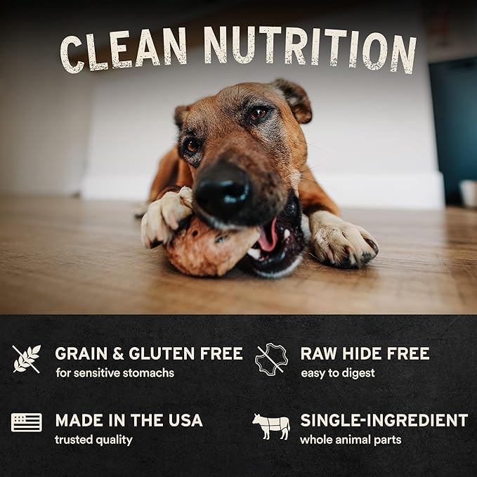 Vital Essentials RAW BAR Freeze-Dried Raw Turkey Hearts Dog Treats | Single Ingredient | Premium Quality | Grain Free Training Treats for Dogs, 1.6 oz Bag