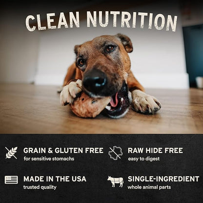 Vital Essentials RAW BAR Freeze-Dried Raw Turkey Hearts Dog Treats | Single Ingredient | Premium Quality | Grain Free Training Treats for Dogs, 1.6 oz Bag