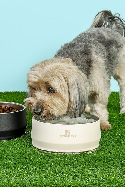 STANLEY Pet Bowl | 6-Cup (48 oz) Insulated Stainless Steel Dog & Cat Bowl | Splash-Resistant Lid | Dishwasher Safe | BPA-Free | Cream