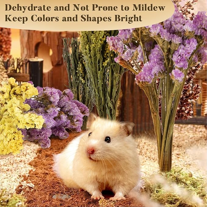 Sukh 60Pcs Nature Flower Herb Hamster Bedding - Cage Enclosure Habitat Decor Mate Small Animal Natural Ear of Grain Sprays for Syrian Dwarf Hamsters Gerbils Rabbit Other Pets
