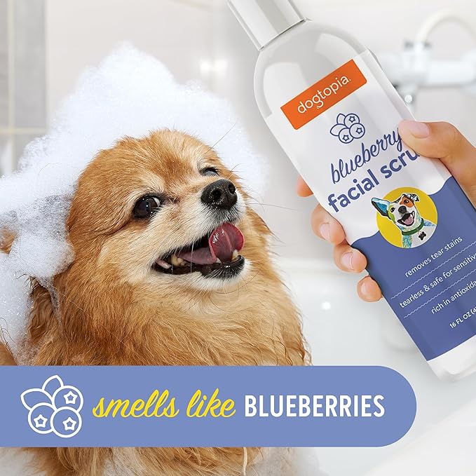 Dogtopia Blueberry Facial Scrub for Pets | Gentle Face-Cleaning Scrub (16oz) | Blueberry-Scented Wash to Remove Tear Stains | Promotes Clean and Fresh Face for Pets