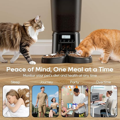 Petrice Automatic Cat Feeder for 2 Cats, 6L/25 Cups Cat Food Dispenser Programmable 30 Portions 6 Meals per Day, Timed Pet Feeder for Kitty Small Dogs with 10S Voice Record, Easy Setup, Black